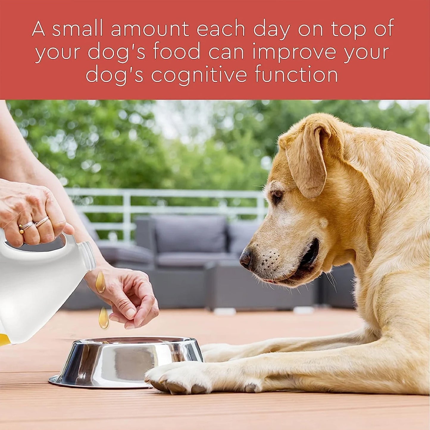 Pure Wild Alaskan Salmon Oil for Dogs & Cats | Skin, Coat & Joint Support