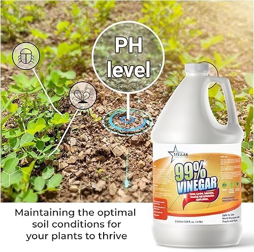99% Pure Vinegar | 100% Natural Cleaner | Dilutes to 20 Gallons